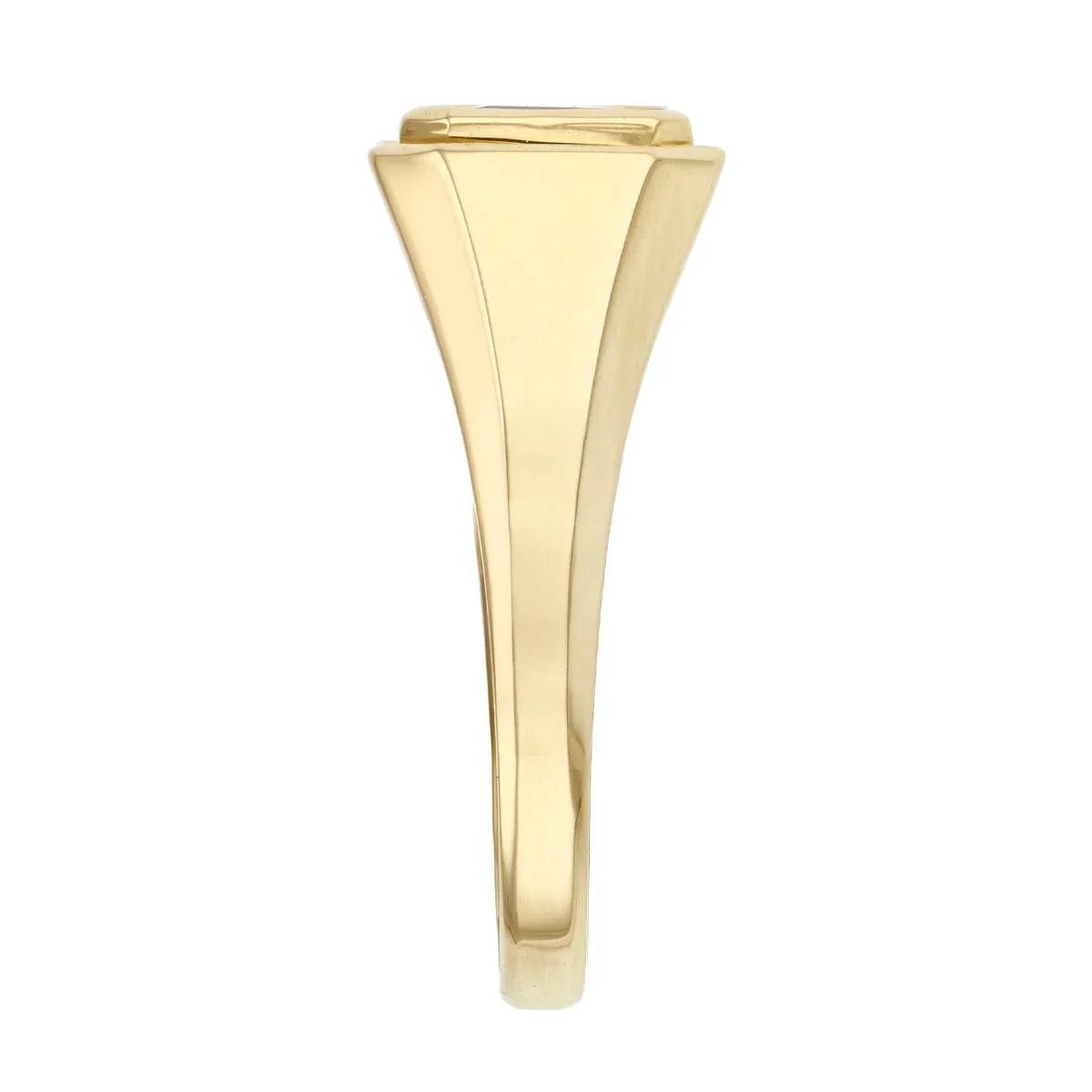 Birthstone Collection 2.09ct Octagonal Garnet Signet Ring | 9K Yellow Gold - Image 4