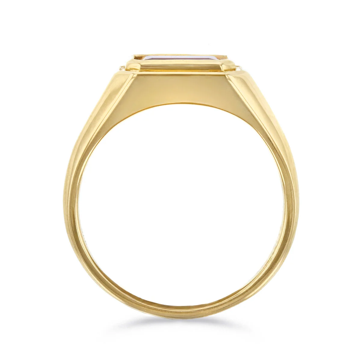 Birthstone Collection 2.09ct Octagonal Garnet Signet Ring | 9K Yellow Gold - Image 5
